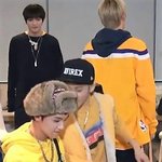 [해찬] 해찬 <b>병아리</b> 보구가