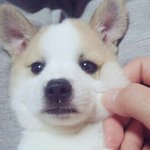 이<b>노래</b>뭐임