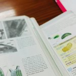 ㅅㅂ생명과학2 조카재밋<b>어서</b>짜증나