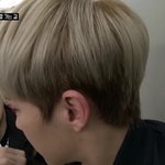 [세븐틴] 이게 뭐라고 귀엽지