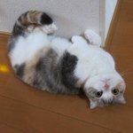 [댓글부탁해] 고1인데 나 수학 점수 <b>빵점</b>맞을듯..ㅎ