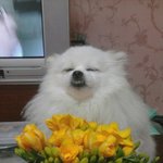 울<b>코난</b>
