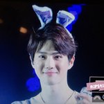 [EXO] 면이토끼 ㅅㅂ ㅠㅠㅠ