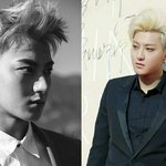 [EXO] 혐주의)효심이 <b>근황</b>봤냐