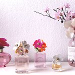 너무 예민한 남친