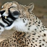 [드루와] 내친구 ㅈㄴ성격이상해