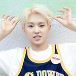 [세븐틴] <b>셉틴</b>이 호시 ㅋㅋㅋㅋ 존귀다