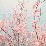 친구 <b>전썸남</b>이랑 사귀면 안되겠지?