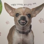 [드루와] 사회 개망했다 <b>시이</b>이이ㅣ발