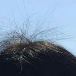 얘들아 나 머리카락이..