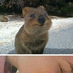 이틀만에 옷 받을 수 있는 쇼핑몰 알려줄겡!!!!!!!@