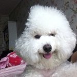 [드루와] 똥싸다가 맘이 벅차서 울었어