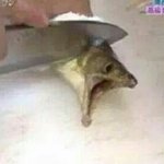 [19] 확실히 <b>남친</b> 없는 건 성격 <b>문제</b>