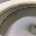 [댓글부탁해] 이정도면 게스트하우스 하지 말아야하지 않나요(혐오주의)