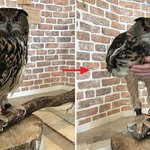 [드루와] 우리 하복 5월 말부터 <b>입음</b> 실화냐
