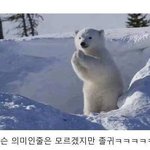 [10대의성] 19금랩써봤어