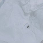 [댓글부탁해] 모기씨2발년 <b>사살</b>❤