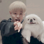 [프로듀스] 나 사실 옆<b>동네</b>에서 멘탈 많이 털림