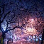 일단 <b>연휴</b>에 개처먹고❣