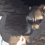 야 나 오늘 <b>수련</b>회가는데 제발 드루와바