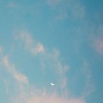 내친구부정<b>행위</b>했는데