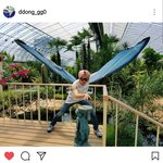 [인피니트] 요즘 규는  댓글잘다네 ㅋㅋ