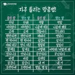 [댓글부탁해] 스쉐스토어 <b>배송</b>빨라?