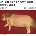 [드루와] (멍청) 나 오후7에 학교 갔다옴 ㅋㅋㄱㅋㅋㅋ