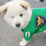 너네는 아이돌 되는 거랑 운동 <b>사범</b> 되는 거 둘 중에 뭐 선택할...