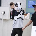 [EXO] ㄹㅇ이옷 개특이함ㅋㅋㅋㅋㅋㅋㅋ