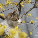 [댓글부탁해] 근데 여자들은 <b>브라</b> 왜함