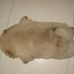 [댓글부탁해] 너네학교도 1학년은 <b>반티</b>못맞추냐
