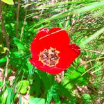 [댓글부탁해] <b>미샤</b> 텐션팩트 써본 사람?