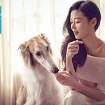 로즈데이 <b>선물</b> <b>추천</b>! 주얼리 <b>추천</b>