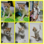 저는 집도 없고..가족도 없어요..