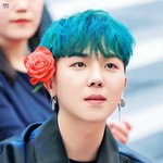 [위너] <b>미노</b> 흑돼지 시절 왠지 그립다 ㅋㅋㅋㅋ