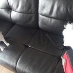 [EXO] 살랴줘