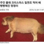 [댓글부탁해] 너의 학교서 가장 막장날라리는 뭐했어?