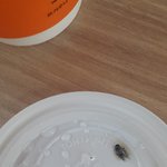 위생<b>청결</b> 엉망입니다.맥도날드