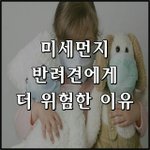 [강아지] <b>미세</b>먼지 심한 날 반려견도 외출 안돼요.