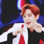 [EXO] 백현이 목소리도 너무  좋은데