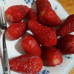 [EXO] 요즘에 쉬는날에 일찍일어나고