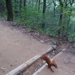 [방탄소년단] 오늘 뉸기 <b>팔공산</b> 언급한거 있잖아