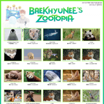 [백현] 백현이의 큥일 <b>쥬토피아</b>