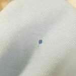 [조언부탁해] 옷샀는데 <b>구멍</b> 뚫려있움ㅇㅅㅇ..