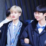 [프로듀스] 배진영은 <b>오른팔</b>에 뭐있다