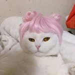 너네 주변에 춤 되게 파워풀하고 <b>걸리쉬</b>?한 춤 잘 추는 애들