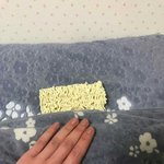 <b>한강</b> 보고 현타 왔음
