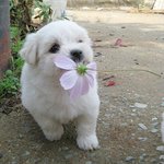 [드루와] 나 전에 엄마가게 <b>영업</b>정지 당했단 쓰니인데
