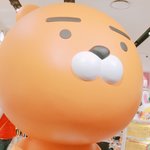 [인피니트] 오늘 <b>카카오</b>프렌즈샵 갔는데